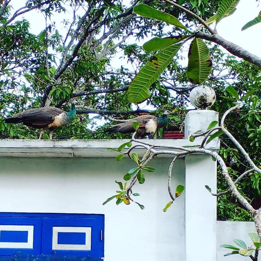 Sriyan Villa Beruwala Buitenkant foto